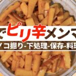 [ 酒の肴レシピ ] タケノコで簡単即席ピリ辛メンマ風の作り方 / 筍堀りから下処理そして筍づくし   4K