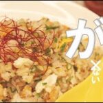 【簡単レシピ】しょうが炒飯 Chinese-style fried rice　冷やごはんで作る Fried Rice(simple ver)