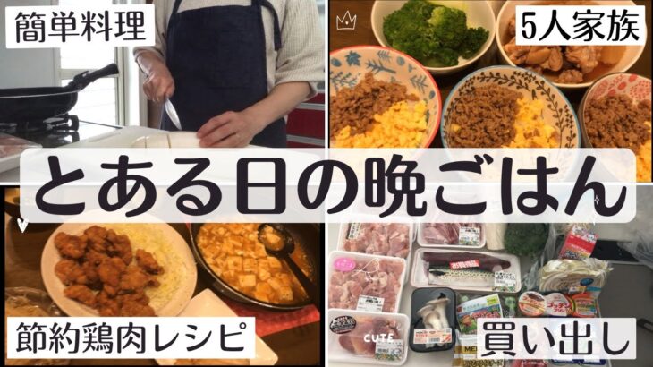 【晩ごはん】節約レシピ/簡単料理/手抜き料理/買い出し