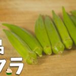 【おくら レシピ】簡単 おいしい オクラの使い方 3品