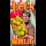 let’s 梅酒Life　#Shorts　#梅酒　#料理人　#酒　#簡単　#料理　#レシピ