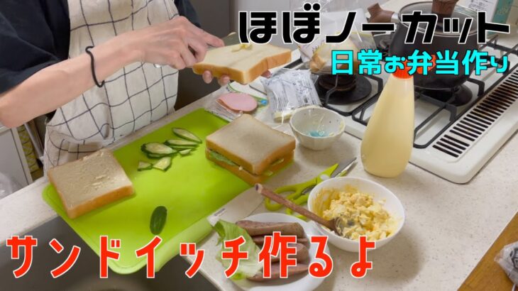 【アラフィフ主婦日常料理記録】お弁当作りPart7 サンドイッチ・簡単クッキング