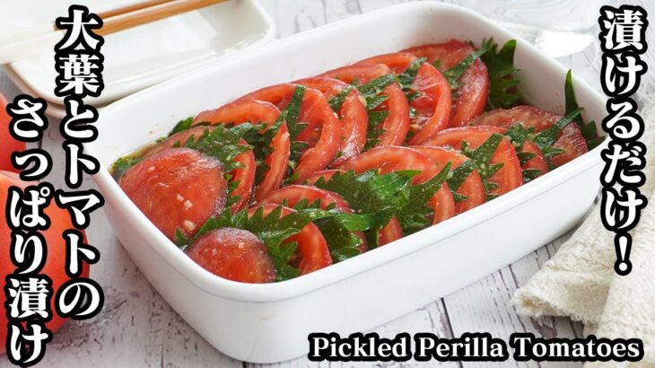大葉とトマトのさっぱり漬けの作り方☆漬けるだけで簡単！自家製ポン酢でさっぱり冷やしトマト！やみつきトマト＆大葉レシピ☆- Pickled Perilla Tomatoes-【料理研究家ゆかり】