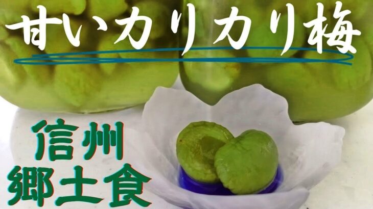 【甘いカリカリ梅】・信州の郷土食・簡単にずっとカリカリ・梅醤油・梅みりん・梅ジュース