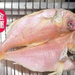 魚　レシピ　金目鯛の干物　グリル　簡単　fish recipes