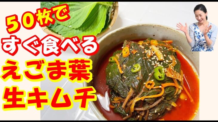 【韓国料理】５０枚でさっと！えごまの葉生キムチ レシピ｜漬けて次の日から美味しく食べれる簡単！えごまの葉キムチ 作り方