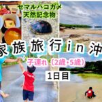 子連れ家族旅行 沖縄 八重山諸島 夜中2時起きの移動日 あいにくの天気でしたが、、