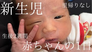【新生児・ルーティン】生後2週間の赤ちゃんのリアルな1日に密着【出産後】【育児vlog】