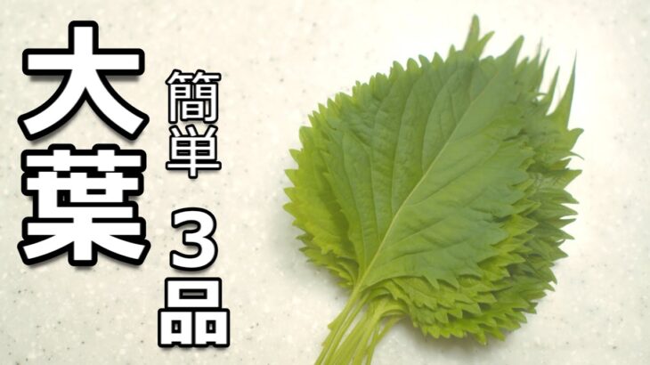 【大葉 レシピ】簡単 美味しい 大葉の使い方 3品
