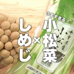 【小松菜レシピ】食材3つカンタン炒めるだけ！簡単中華！