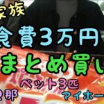 【まとめ買い】月3万円の食費事情/家計簿/節約術