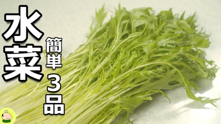 【水菜 レシピ】簡単！おいしい！水菜料理 3品