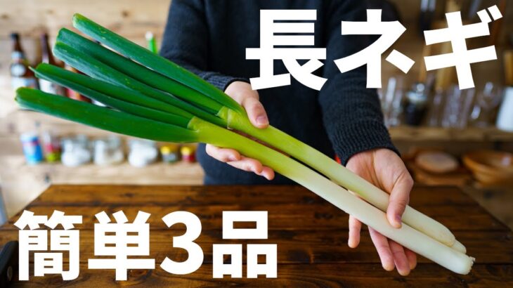 【ほぼネギだけで作れる！】長ネギを使った簡単おつまみレシピ3品～3 japanese leek dishes～