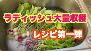 【クッキング】 第一弾 ラディッシュ #野菜 #男料理 #簡単レシピ