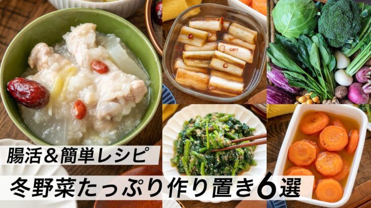 【腸活作り置き#13】冬野菜たっぷり料理6選！人気の簡単レシピ｜食物繊維と発酵食品でヘルシー献立・夕食