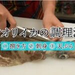 【徳島県南(海部)の絶品グルメ】簡単に美味しくできる！！アオリイカ料理の作り方！