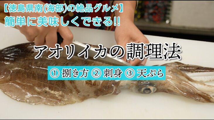 【徳島県南(海部)の絶品グルメ】簡単に美味しくできる！！アオリイカ料理の作り方！