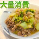 【白菜 レシピ】簡単に大量消費！豚肉と白菜の中華炒めの作り方【目分量】