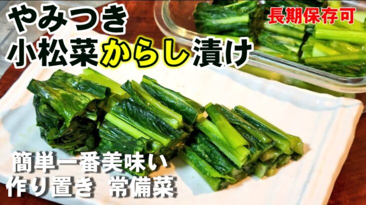 調味料ふたつ！生の小松菜を漬けるだけ！？簡単で一番美味い小松菜のからし漬け。作り置きレシピ 常備菜 漬物 箸休め 保存食 小松菜人気レシピ