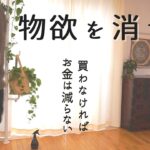 物欲を減らす方法｜一番の節約はお金を使わない事｜物欲を捨てる｜お金は使わなければ減らない