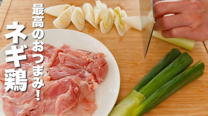 【ネギと鶏の簡単レシピ】炒めるだけ！最高にうまいおつまみ！