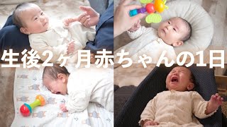 【生後2ヶ月】赤ちゃんの1日ルーティン/完母育児/黄昏泣き/クーイング/抱っこマン