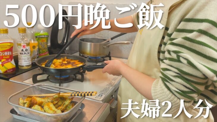 【夫婦2人分】500円で作る節約晩ご飯【麻婆豆腐】