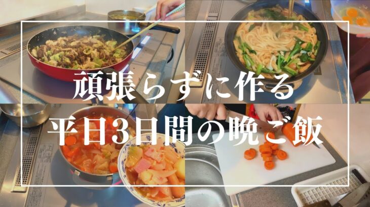 【簡単料理】頑張らずに作る平日3日間の晩ご飯【手抜きご飯】