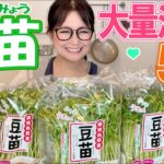 【簡単】豆苗の大量消費レシピ5品！