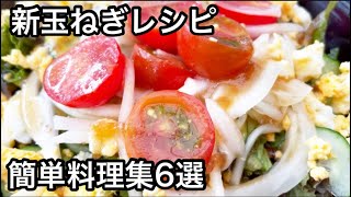 新玉ねぎレシピ 簡単料理集6選 2023まとめ
