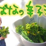 【簡単】なばな（菜の花）の辛子和え｜プロ直伝！春の副菜レシピ