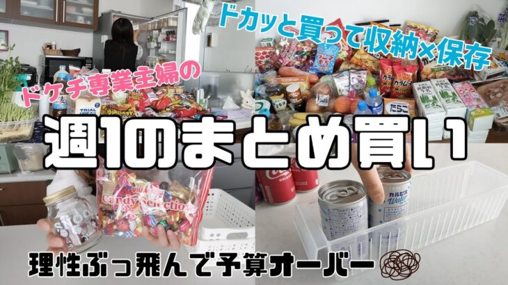 【まとめ買い】ドケチ専業主婦が理性ぶっ飛んで予算オーバーしたけど開き直った日/収納×保存してくよ✋💕