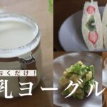 ヨーグルトメーカーいらず！1番簡単な豆乳ヨーグルトの作り方&アレンジレシピ3品【すぐきヨーグルト】