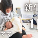 新生児ママの家事育児バタバタルーティン【日中編】