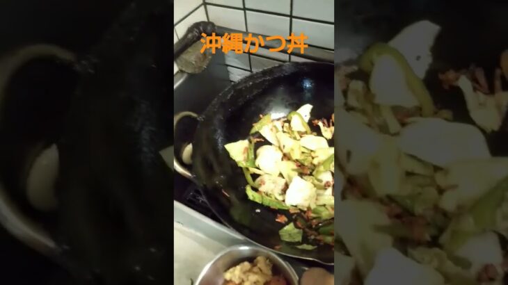 【簡単料理】Japanese food、｜野菜たっぷりかつ丼、作りました、弁当屋、夫婦vlog、｜lunchbox Japanese bento、｜Japan food