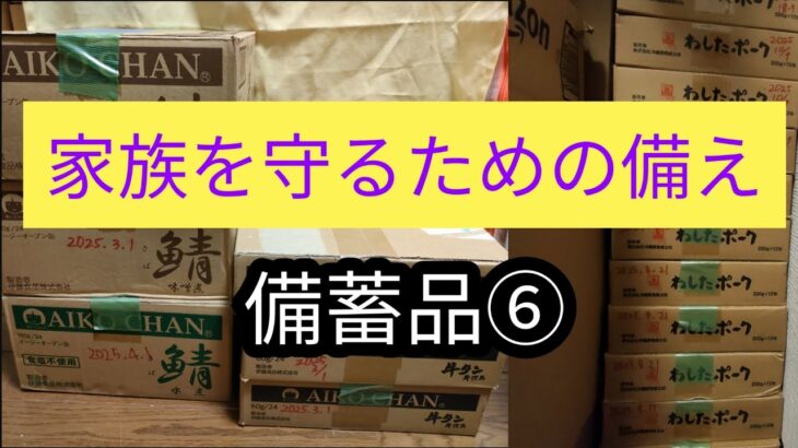 【備蓄歴10ヶ月節約専業主婦】家族を守るための備え・備蓄品⑥