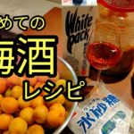梅酒の作り方【簡単美味しい基本のレシピ】
