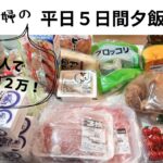 【食費２万】節約主婦の平日５日間夕飯記録/業務スーパー