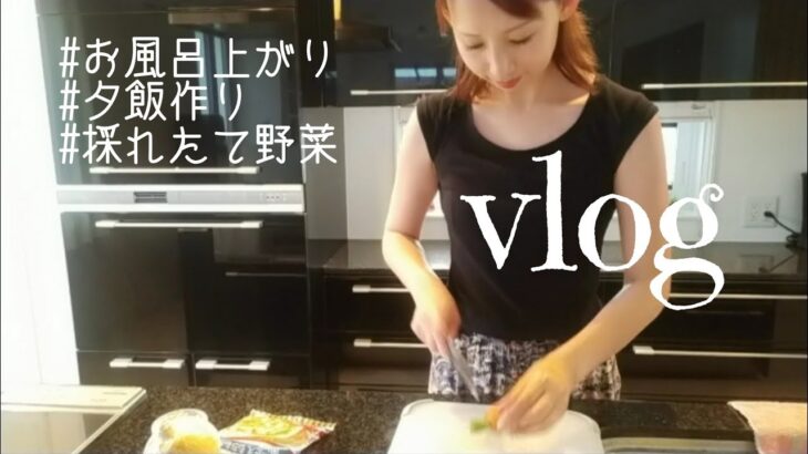 【主婦vlog】喫茶店ランチ☕夕飯作り🍽️😋節約レシピ👛