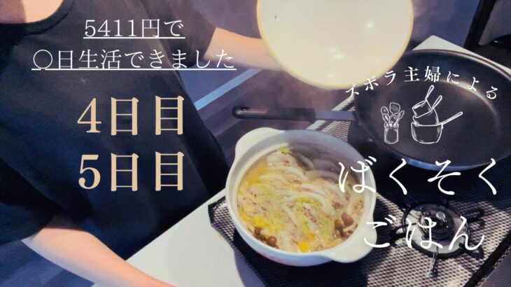 【10分で】ミルフィーユ鍋【ズボラ主婦による5411円生活　4.5日目】