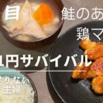 【3日目】鮭のあら汁と鶏マヨ　5411円サバイバル　ズボラ主婦の節約生活