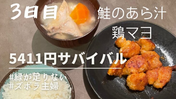 【3日目】鮭のあら汁と鶏マヨ　5411円サバイバル　ズボラ主婦の節約生活