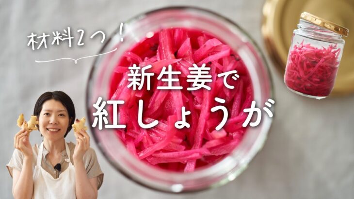 【材料２つ！】新生姜で紅しょうがのレシピ・作り方