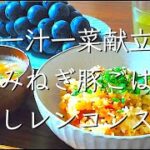 管理栄養士の簡単一汁一菜ごはん/料理/レシピ/献立/管理栄養士/料理動画