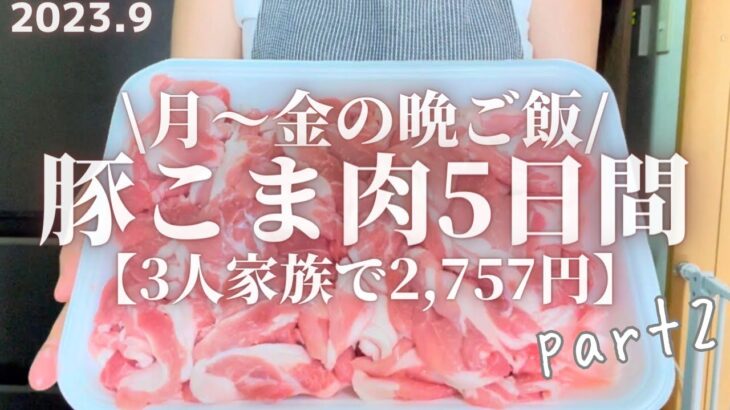 【節約レシピ】平日5日間2,757円で作る豚こま肉を使用した3人家族の晩ご飯。