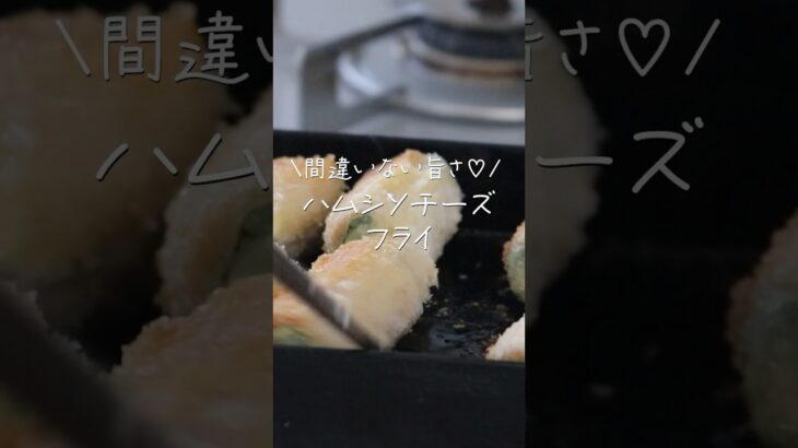 【旦那がほれたおかず】みんな大好き♡ハムシソチーズフライ #簡単レシピ #簡単おかず #japaneselunchbox