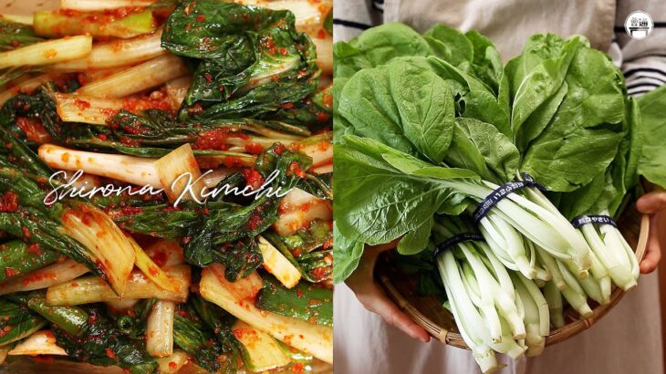【韓国料理】材料超簡単‼ しろなキムチの作り方 #얼갈이배추김치 만들기