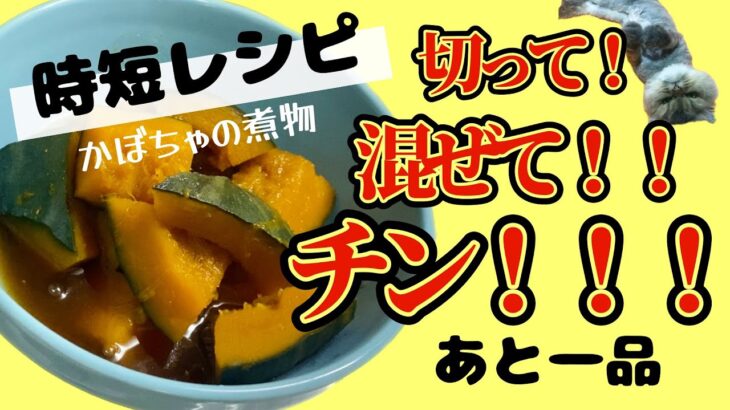 【時短レシピ】かぼちゃの煮物/作り置き/簡単/節約レシピ/レンチンだけ