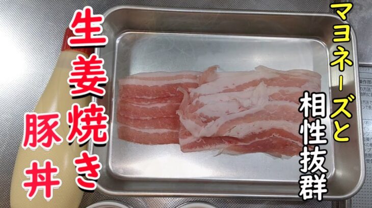 【簡単レシピ】必見！時短料理 料理初心者でも作れる 生姜焼き 豚丼の作り方【マヨネーズとの相性抜群】