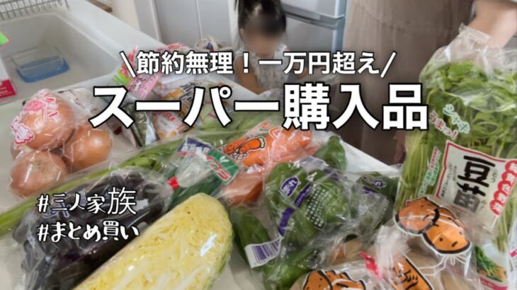 【スーパー購入品】節約無理！一万円超えの食材買い出し/専業主婦/国際結婚